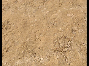 sand terrain pbr pack 4 CG Textures