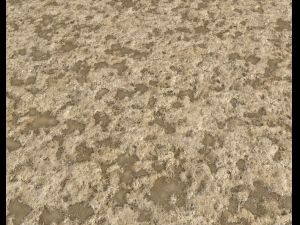 sand terrain pbr pack 4 CG Texturen