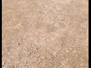 sand terrain pbr pack 4 CG Texturen