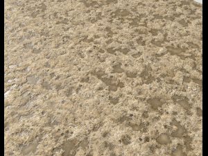 sand terrain pbr pack 4 CG Texturen