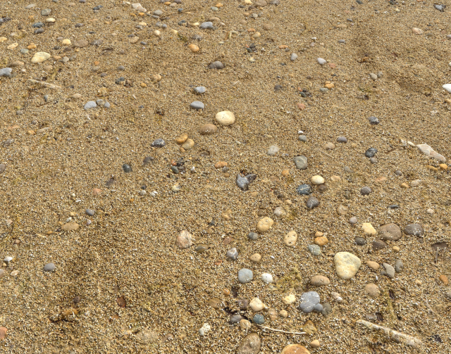 sand beach terrain pbr pack 5 CG Textures .c4d .max .obj .3ds .fbx .stl .blend 