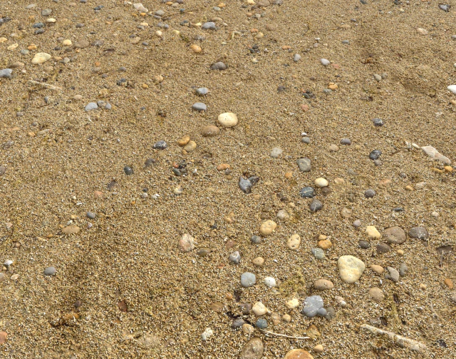 sand beach terrain pbr pack 5 CG Textures .c4d .max .obj .3ds .fbx .stl .blend