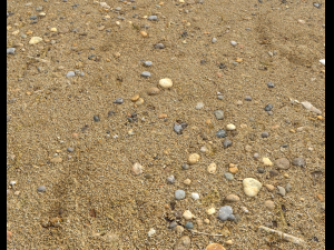 sand beach terrain pbr pack 5 CG Tekstury