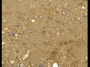 sand beach terrain pbr pack 5 CG Textures