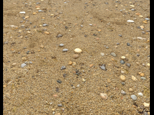 sand beach terrain pbr pack 5 CG Textures