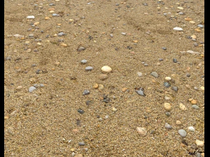 sand beach terrain pbr pack 5 CG Textures