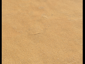 sand beach terrain pbr pack 5 CG Textures