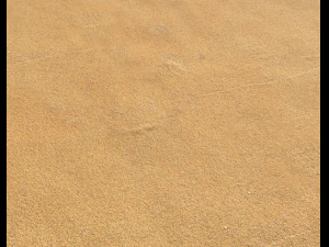 sand beach terrain pbr pack 5 CG Textures