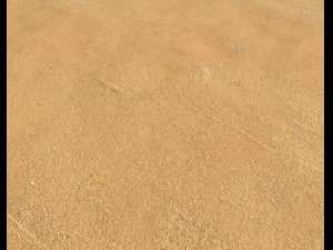sand beach terrain pbr pack 5 CG Textures