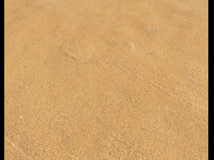 sand beach terrain pbr pack 5 CG Textures