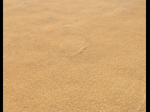 sand beach terrain pbr pack 5 CG Textures