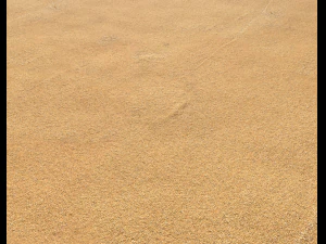 sand beach terrain pbr pack 5 CG Textures