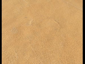 sand beach terrain pbr pack 5 CG Textures