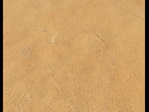 sand beach terrain pbr pack 5 CG Textures