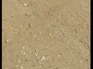 sand beach terrain pbr pack 5 CG Textures