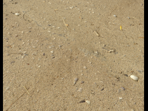 sand beach terrain pbr pack 5 CG Textures