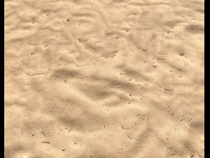 sand beach terrain pbr pack 5 CG Textures