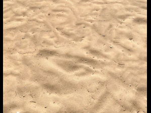 sand beach terrain pbr pack 5 CG Textures