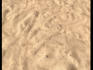 sand beach terrain pbr pack 5 CG Textures