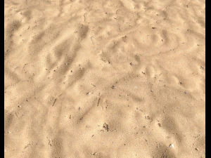 sand beach terrain pbr pack 5 CG Textures