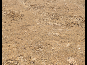 sand terrain pbr pack 6 CG Textures