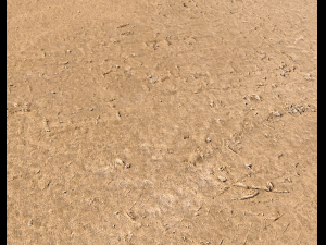 sand terrain pbr pack 6 CG Texturen