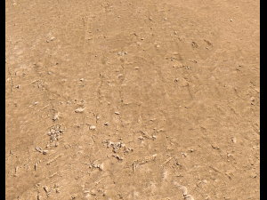 sand terrain pbr pack 6 CG Texturen