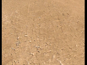 sand terrain pbr pack 6 CG Textures