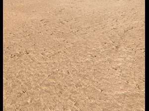 sand terrain pbr pack 6 CG Texturen
