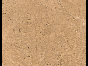 sand terrain pbr pack 6 CG Texturen