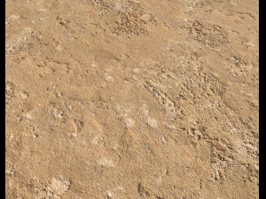 sand terrain pbr pack 6 CG Texturen