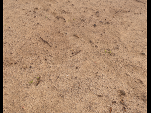 sand terrain pbr pack 6 CG Texturen