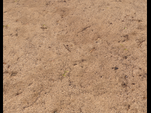 sand terrain pbr pack 6 CG Texturen