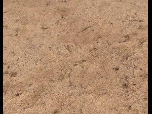 sand terrain pbr pack 6 CG Textures