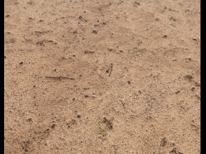 sand terrain pbr pack 6 CG Texturen