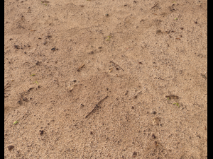 sand terrain pbr pack 6 CG Texturen