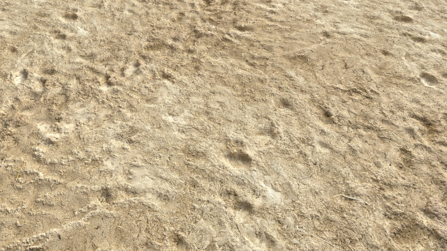 desert wasteland ground pbr pack 4 CG 텍스쳐 .c4d .max .obj .3ds .fbx .stl .blend 