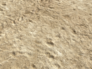 desert wasteland ground pbr pack 4 Texturas CG