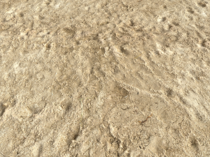 desert wasteland ground pbr pack 4 CG 텍스쳐