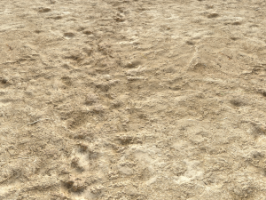 desert wasteland ground pbr pack 4 CG 텍스쳐