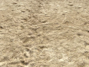 desert wasteland ground pbr pack 4 CG Textures