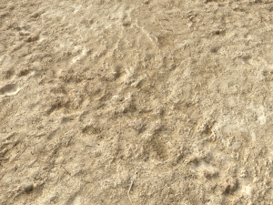 desert wasteland ground pbr pack 4 CG 텍스쳐