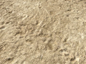 desert wasteland ground pbr pack 4 CG Textures