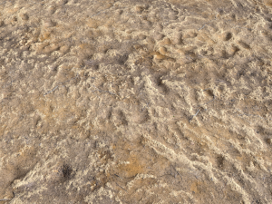 desert wasteland ground pbr pack 4 CG 텍스쳐