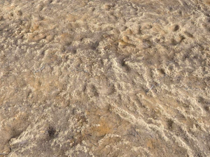 desert wasteland ground pbr pack 4 CG Textures