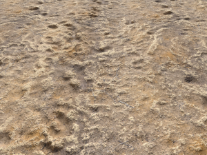 desert wasteland ground pbr pack 4 CG 텍스쳐