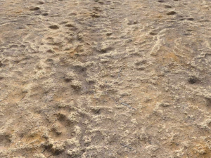 desert wasteland ground pbr pack 4 CG Textures
