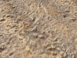 desert wasteland ground pbr pack 4 CG 텍스쳐