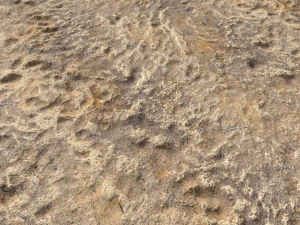 desert wasteland ground pbr pack 4 CG Textures