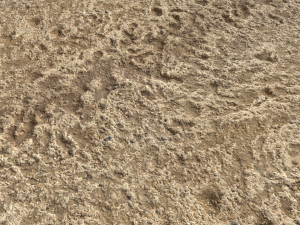 desert wasteland ground pbr pack 4 CG 텍스쳐